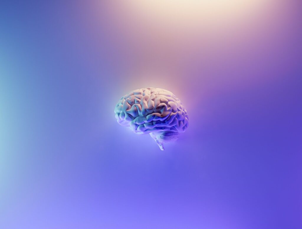 Brain superfoods: What foods should you eat for focus & concentration? 8 Brain Superfoods