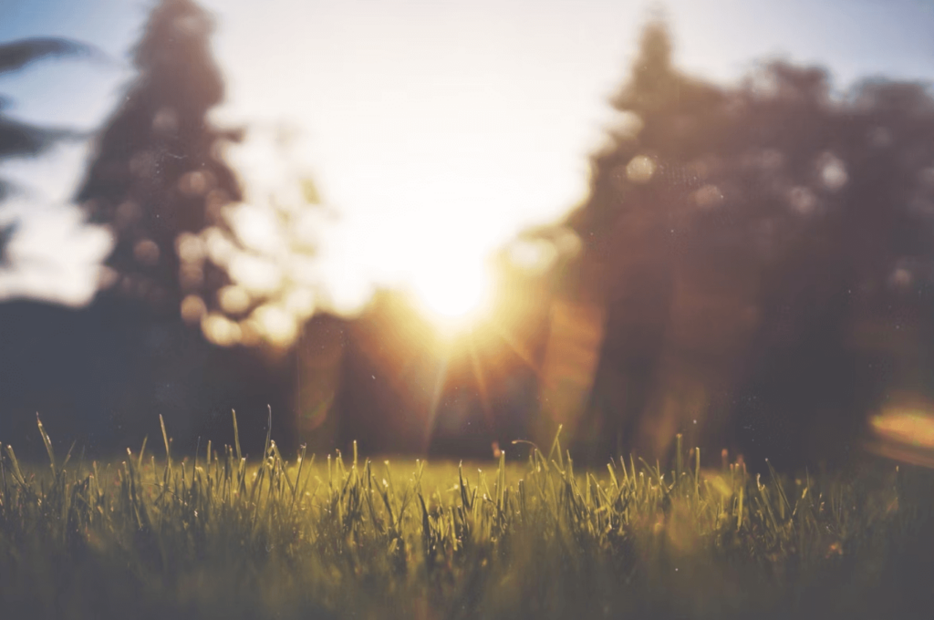 Do you still need to supplement vitamin D in the summer? 9 Do You Still Need To Supplement