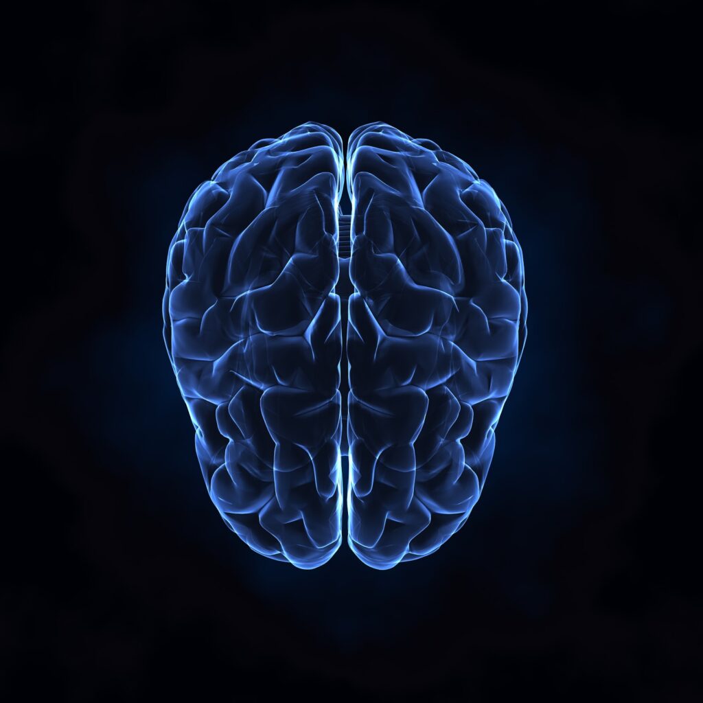How can I improve my cognitive function? 12 Improve My Cognitive Function