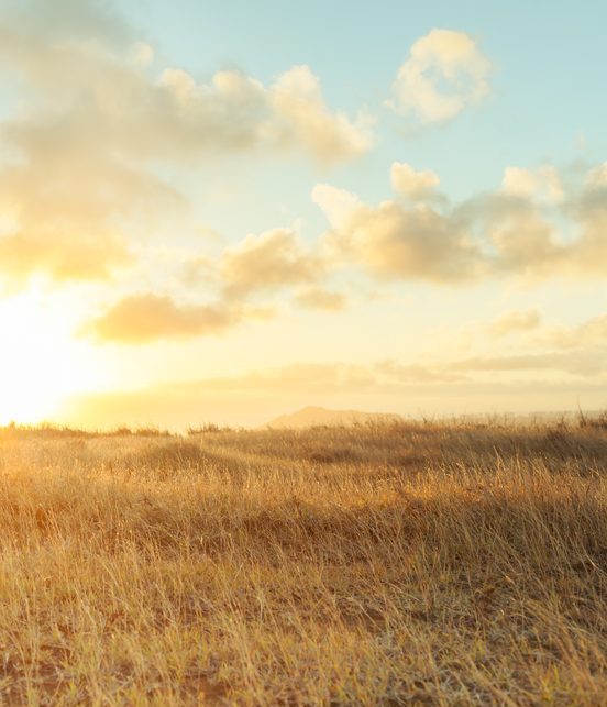 Our tips for optimising brain and body 1 Optimising Brain And Body