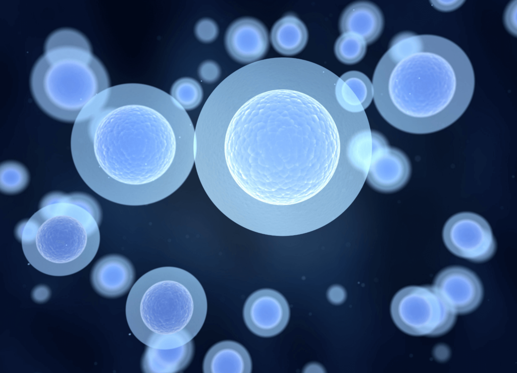 What Is Cellular Health And Why Is It Important? 3 What Is Cellular Health
